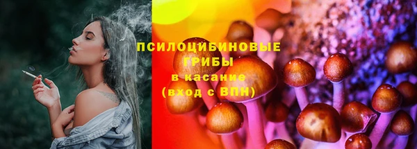 прущая мука Инсар