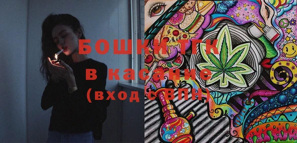 МДПВ Каменка
