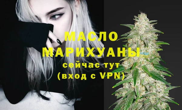 МДПВ Каменка