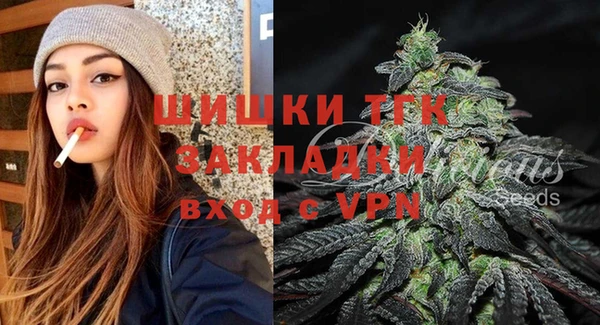 спайс Инта