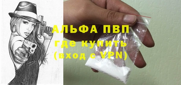 спайс Инта