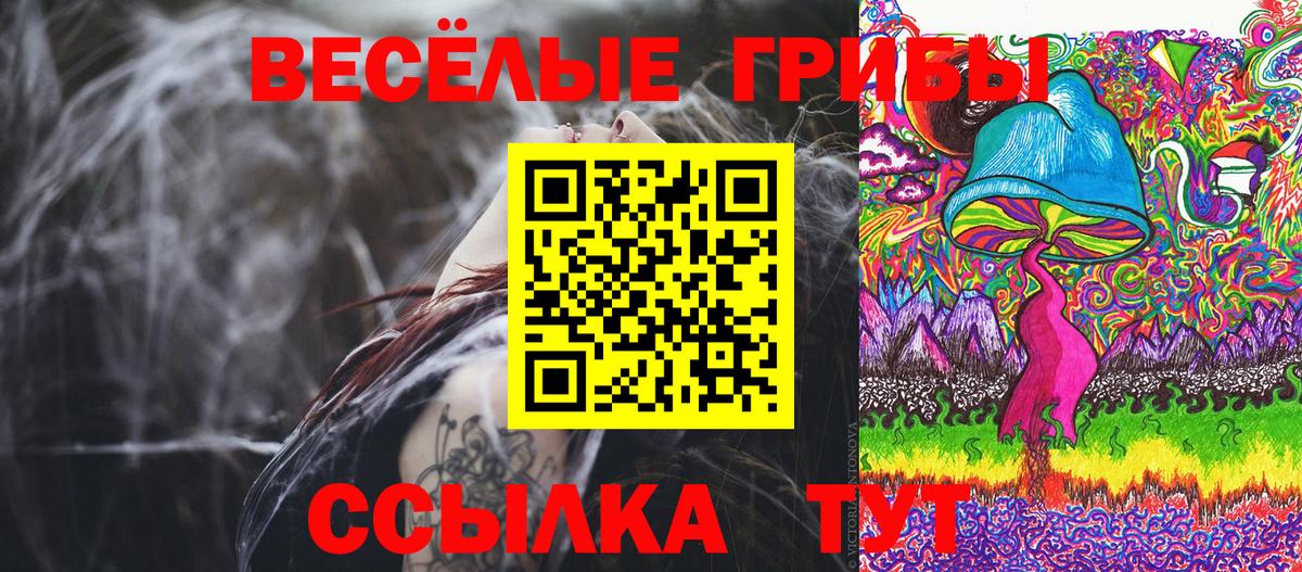 Карталы  Галлюциногенные грибы MAGIC MUSHROOMS  даркнет сайт  Вход с VPN  Псилоцибиновые грибы Magic Shrooms 
